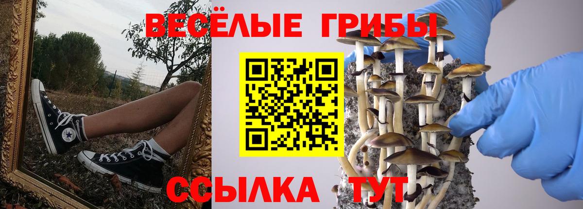 Бугульма  Псилоцибиновые грибы Magic Shrooms  Галлюциногенные грибы Magic Shrooms  Вход с VPN 